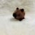 IMG_9326 Capybara