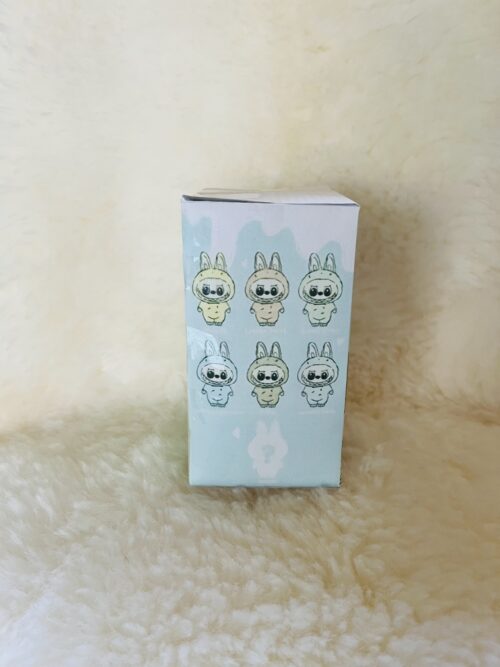 Labubu mystery box