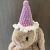 Gehaakt feest hoedje voor medium jellycat konijn
