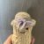 Gehaakt zomer hoedje voor peanut jellycat