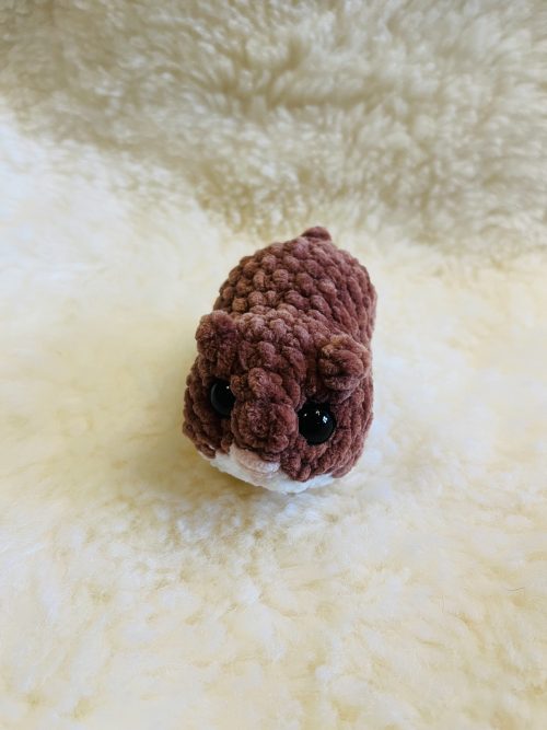 IMG_8293 Hamster