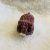 IMG_8293 Hamster
