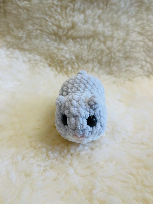 IMG_8295 Hamster
