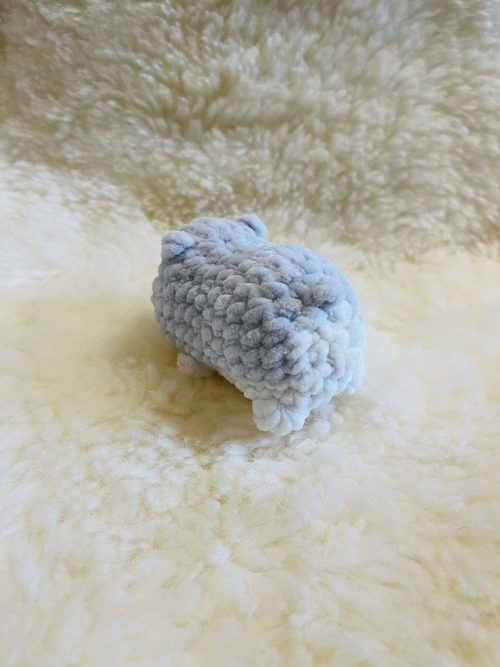 IMG_8296 Hamster