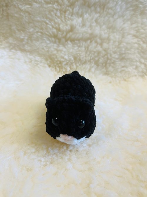 IMG_8297 Hamster