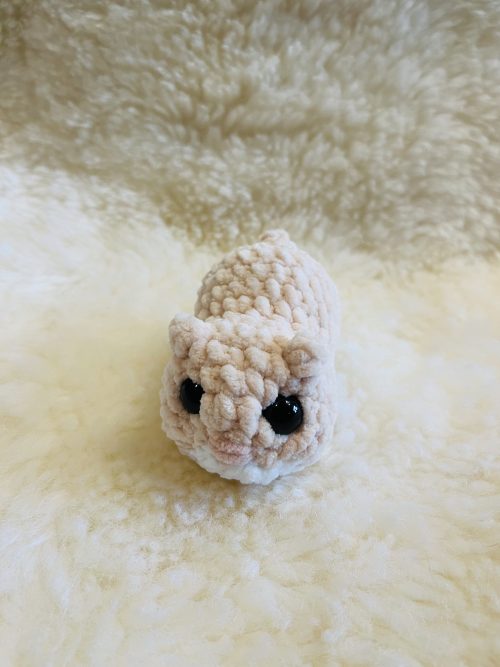 IMG_8299 Hamster
