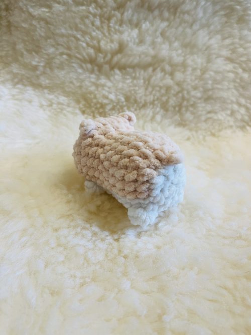 IMG_8300 Hamster