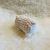 IMG_8300 Hamster