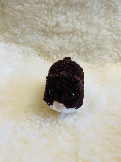 IMG_8301 Hamster
