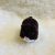IMG_8301 Hamster